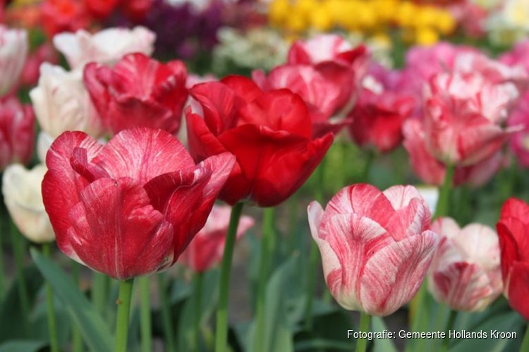 Samen verder met Stichting Poldertuin