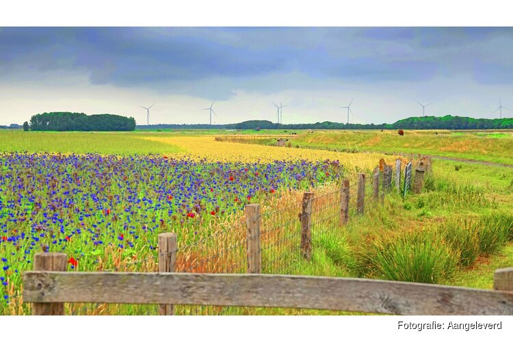 Op de trekker klimmen en tulpen plukken?