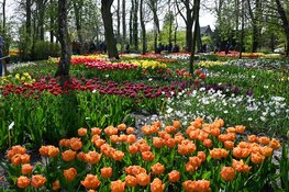 De Bloemendagen 2026