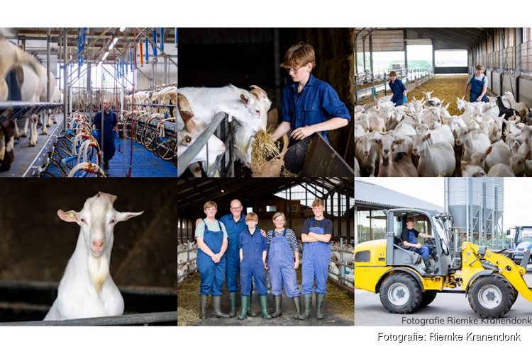 Win een kijkje achter de schermen bij melkgeitenbedrijf De Wierhoeve in Hippolytushoef