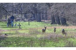Nieuw bos in Wieringermeer: Robbenoordbos en Dijkgatbos groeien straks aan elkaar