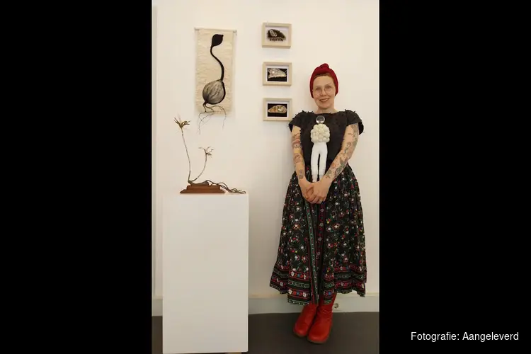 Expositie 'Meet the Artist' op zaterdag 28 juni bij Kunsthuis Steengoed in Anna Paulowna