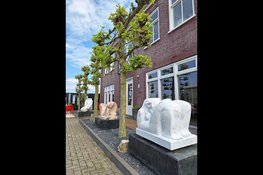 Expositie 'Meet the Artist' op zaterdag 28 juni bij Kunsthuis Steengoed in Anna Paulowna