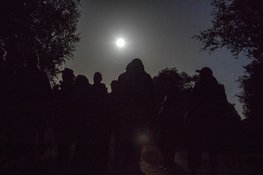 29 augustus Nacht van de vleermuis in het Robbenoordbos