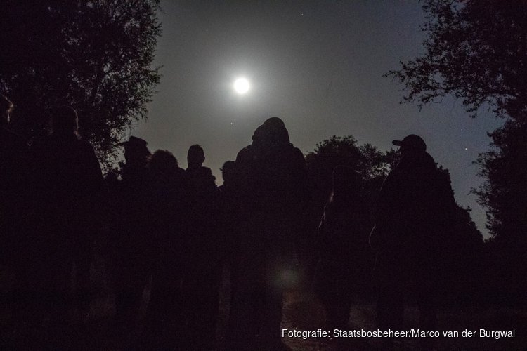 29 augustus Nacht van de vleermuis in het Robbenoordbos
