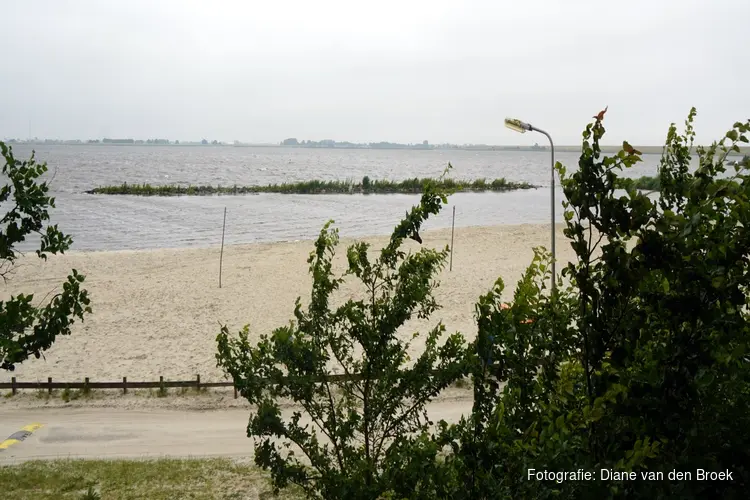 Kwaliteit zwemwater Lutjestrand sterk verbeterd