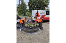 Honderden grijpers, schoffels en vuilniszakken, één gezamenlijk doel