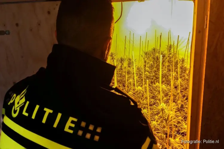 Hennepkwekerij in verborgen ruimte in Lutjewinkel