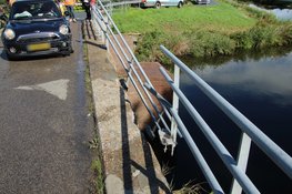 Auto botst tegen hekwerk van brug en komt boven water tot stilstand aan de Langereis
