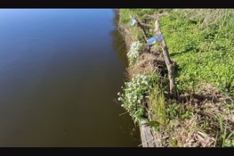 Natuur krijgt ruimte bij werkzaamheden aan de Westfriesche Vaart