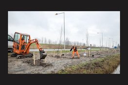 Start vervangen bomen langs N242 bij Winkel en Nieuwe Niedorp