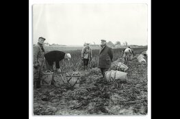 Kapiteyn viert 100 jaar ondernemerschap en mag zich Koninklijk noemen