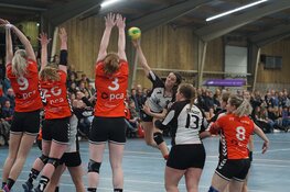 ZAP speelt onder haar kunnen en verliest