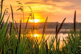 Weekend zomerse temperaturen, maar vergeet je paraplu niet
