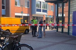 OM: 'Verdachte (66) stak met broodmes in op kunstenares Lydia de Loos'
