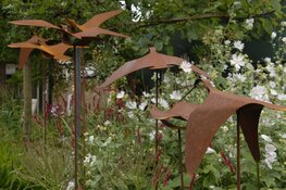 ‘Top in de Kop’ 2019, de twintigste editie!