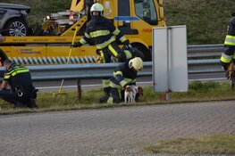 Auto knalt tegen vangrail op Afsluitdijk