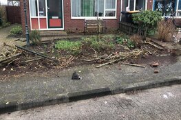 Auto slaat op hol en zorgt voor ravage in Den Oever