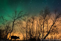 Poolnachtlezing in Cultuurschuur