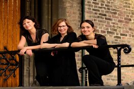 The Hague String Trio in Hippolytuskerk
