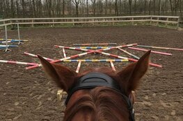 Wironruiters springen 'uit de band'