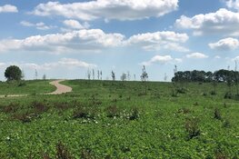 Opening Natuurbegraafplaats Geestmerloo, een eeuwigdurende rustplaats in de natuur