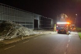 Brand bij paprikateler in Middenmeer