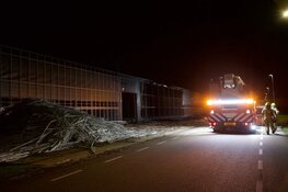 Brand bij paprikateler in Middenmeer