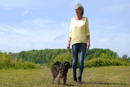 Oh 2020, wat een jaar