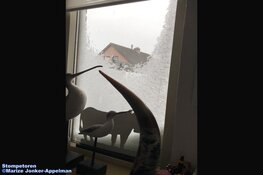 Winterse zondag in beeld