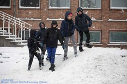 Winterse zondag in beeld