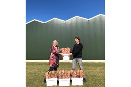 Vrouwen in het zonnetje