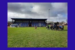 Succes met gymles basisscholen