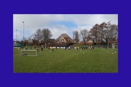 Succes met gymles basisscholen