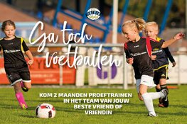 Succes ontwikkelt door